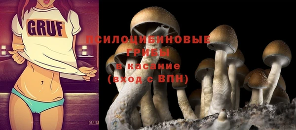 трава Верхнеуральск